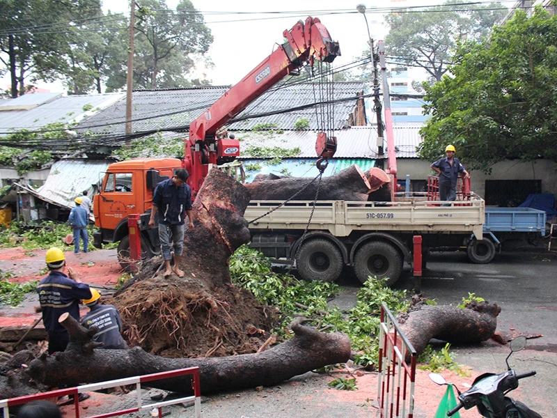 Lực lượng chức năng có mặt tiến hành giải phóng hiện trường. 